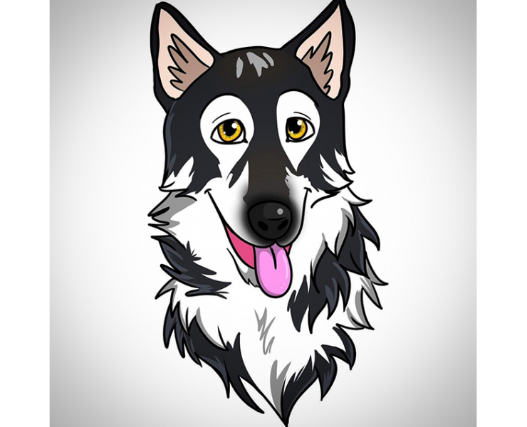 Scout Direwolf Dog Creators Animal Influencers Crowdfunding